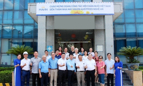 Mavin nhận Bằng khen của Liên hiệp các hội Khoa học và Kỹ thuật Việt Nam