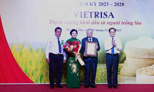 PGS.TS Bùi Bá Bổng làm Chủ tịch Hiệp hội Ngành hàng Lúa gạo Việt Nam