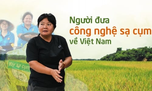 Người đưa công nghệ sạ cụm về Việt Nam