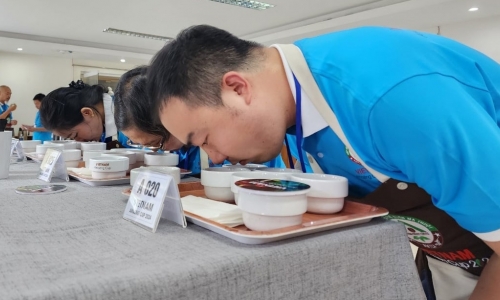 42 mẫu cà phê vào chung kết cuộc thi Cà phê đặc sản Việt Nam
