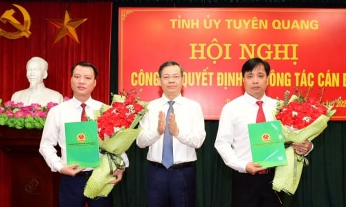 Giám đốc Sở NN-PTNT làm Giám đốc Sở Nội vụ Tuyên Quang