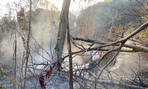Huy động hơn 500 người chữa cháy rừng ở Tri Tôn