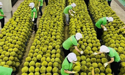 Xuất khẩu rau quả Việt Nam đạt gần 2 tỷ USD từ đầu năm