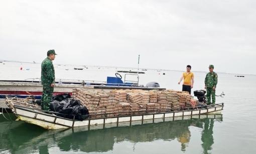 Vận chuyển 29.400 quả trứng gà lậu từ Trung Quốc vào Việt Nam trên biển