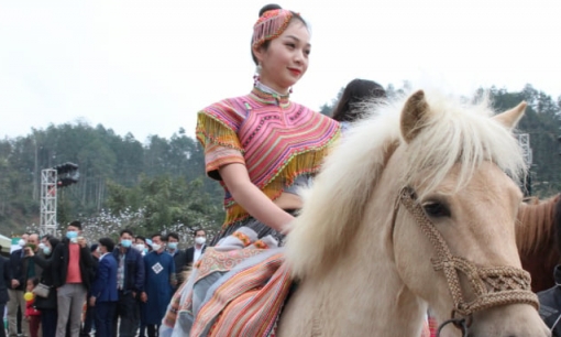 Giải đua ngựa truyền thống Bắc Hà tái hiện nghi thức cầu may