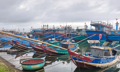 Quảng Trị vẫn còn 381 tàu cá chưa đăng ký, đăng kiểm