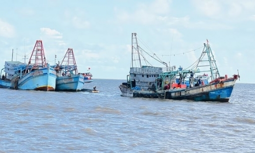 Introducing new regulations to address the issue of IUU drastically