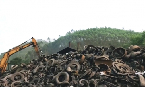 Chuyển đất rừng thành xưởng lốp, một nông dân bị phạt hơn 238 triệu đồng