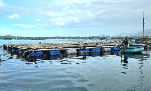 Vì sao Phú Yên chưa giao khu vực biển nuôi trồng thủy sản?