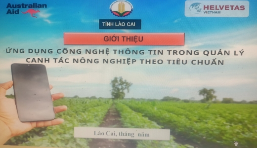 Lào Cai: 50% doanh nghiệp, HTX ứng dụng công nghệ số