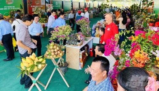 Ngày hội Nông sản Lai Vung thu hút hơn 25 ngàn lượt khách tham quan