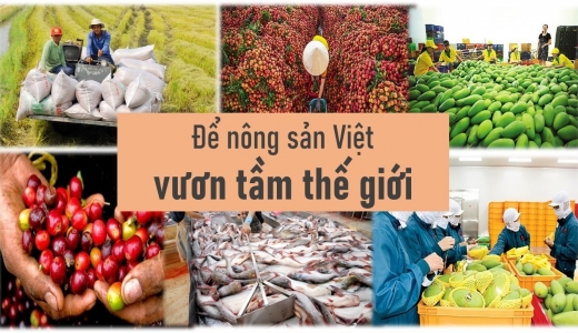 Thay đổi tư duy để tiếp cận thị trường Trung Quốc