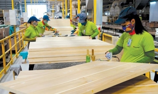 Bản tin Lâm nghiệp ngày 9/5/2024: Đơn hàng phục hồi, ngành gỗ có thể tăng tốc
