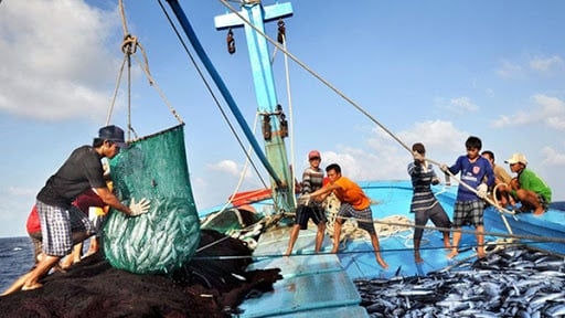 Bản tin Thủy sản ngày 14/5/2024: Giảm lao động nghề cá xuống còn khoảng 600.000 người