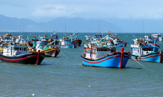 Bản tin Thủy sản ngày 23/5/2024: Cơ hội cuối của Việt Nam trong gỡ ‘thẻ vàng’