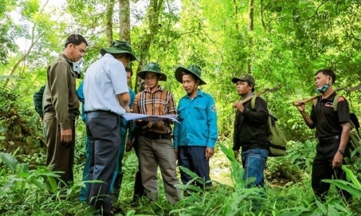 Bản tin Lâm nghiệp ngày 28/5/2024: Nâng mức hỗ trợ, khoán bảo vệ rừng hàng năm