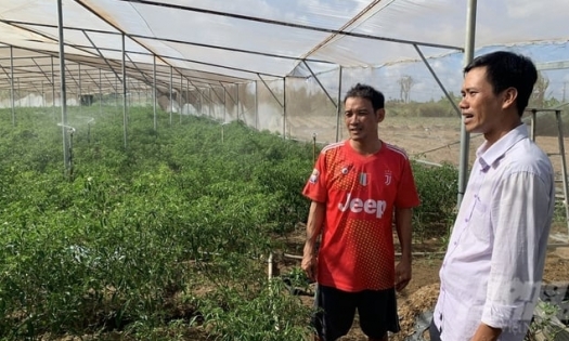 4.2 million Euros to support Mekong Delta farmers in eco-friendly, smart agriculture