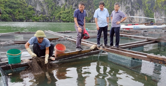 Chi tiết lịch trình tham quan trung tâm quốc gia giống hải sản miền bắc độc đáo