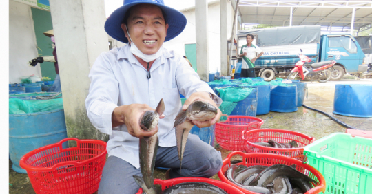 Trò chuyện cùng anh Phi 'cá lóc'