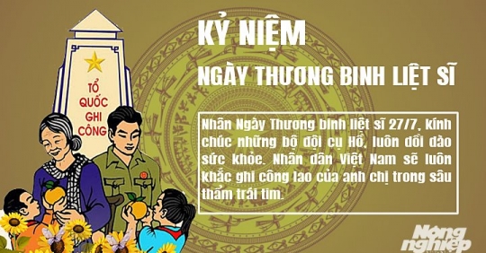 Lời tri ân ngày Thương binh Liệt sĩ 27/7 ý nghĩa nhất 2022