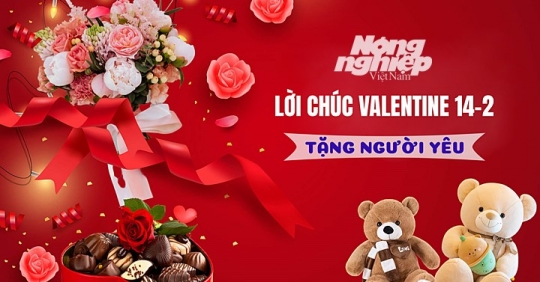 Lời chúc Valentine 2023 hay và ý nghĩa dành tặng người yêu