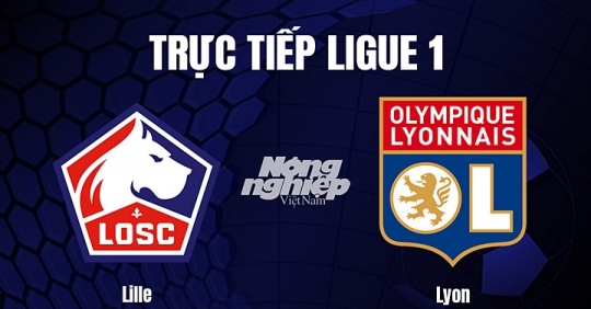 Trực tiếp bóng đá Lille vs Lyon hôm nay 11/3