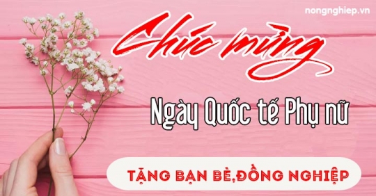 Lời chúc 8/3 cho đồng nghiệp, bạn bè hay, ý nghĩa nhất 2022