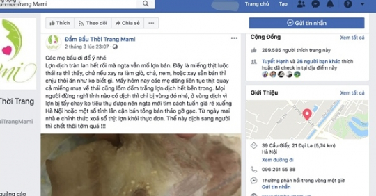 Đầm bầu thời trang Mami bị “triệu tập” vì tút bậy về dịch tả lợn