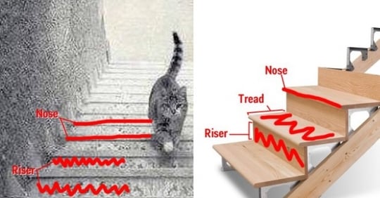 Đón xem chú mèo đáng yêu đang nằm trên cầu thang, khám phá cảnh vật nhà bạn đẹp tuyệt vời hơn với hình ảnh này!