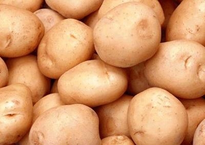 Cách bảo quản củ khoai tây sau thu hoạch