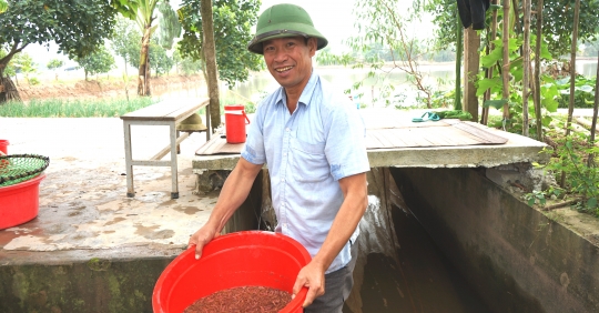 'Thủ phủ' rươi Tứ Kỳ vào chính vụ