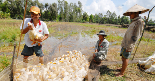 synchronizing-solutions-to-prevent-and-control-avian-influenza