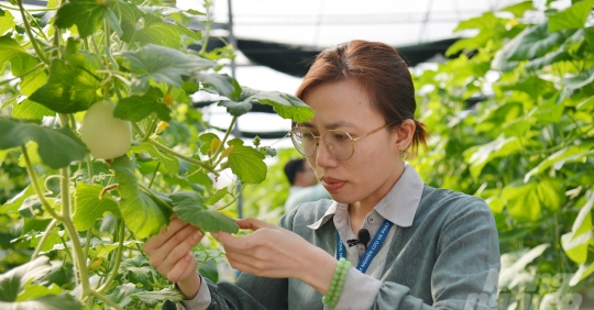 Ho Chi Minh City's Agriculture Will Be A Technical Sector By 2045