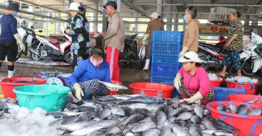 Khanh Hoa fishermen stick to the sea, trying to remove IUU 'yellow card' 