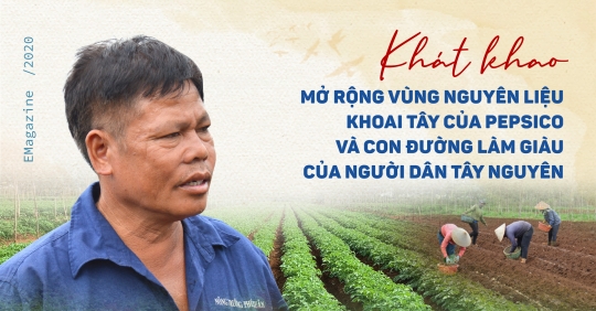 Khát khao mở rộng vùng nguyên liệu khoai tây của PepsiCo