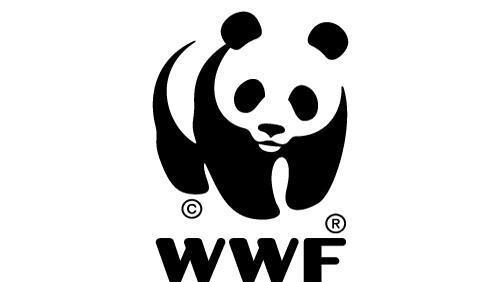 WWF thông tin báo chí và công bố báo cáo về môi trường