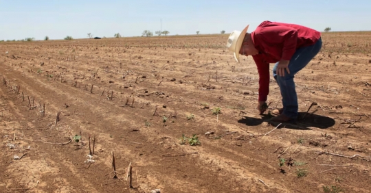 ‘Enormous’ Fertilizer Shortage Spells Disaster For Global Food Crisis