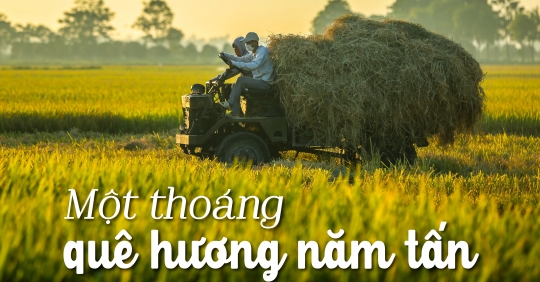 Một thoáng quê hương năm tấn