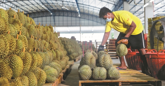 ประเทศไทยรักษาตำแหน่งผู้ส่งออกสินค้าเกษตรในปี 2566 ได้ด้วยเอฟทีเอ