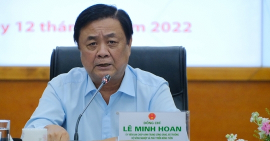 Le Minh Hoan 部長對榴蓮行業公司的信息？