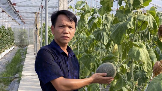 Tin tức