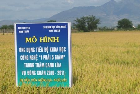 Trung tâm Khuyến nông tỉnh Thừa Thiên Huế  Kỹ thuật sản xuất lúa theo quy  trình 1 phải 5 giảm