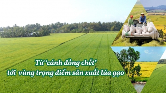 Từ ‘cánh đồng chết’ tới vùng trọng điểm sản xuất lúa gạo