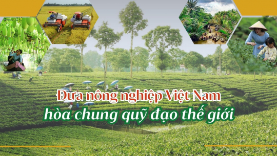 Đưa nông nghiệp Việt Nam hòa chung quỹ đạo thế giới