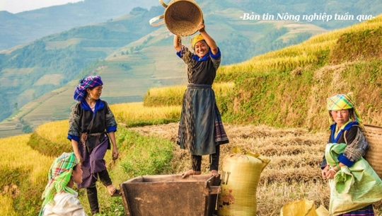 Phát triển du lịch nông thôn trở thành thương hiệu Việt Nam