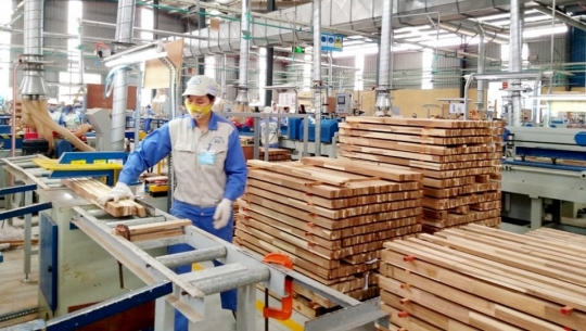 Bản tin Lâm nghiệp ngày 26/12/2023: Xây dựng thị trường để đảm bảo xuất khẩu gỗ