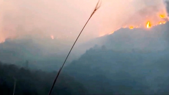 Bản tin Lâm nghiệp ngày 21/2/2024: Cháy rừng lan rộng hơn 25 ha tại VQG Hoàng Liên