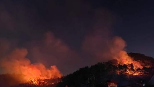 Bản tin Lâm nghiệp ngày 22/2/2024: Cháy lớn tại Sơn La ảnh hưởng hơn 54ha rừng