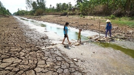 ĐBSCL ngóng nước ngọt 'giải khát' cho ruộng vườn