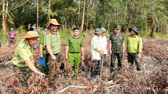 ‘Cánh tay nối dài’ của ngành kiểm lâm, ngăn nguy cơ cháy rừng